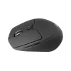 Conceptronic LORCAN02B Ergo pelė Biuro Dešiniarankiams Bluetooth Optinė 1600 DPI