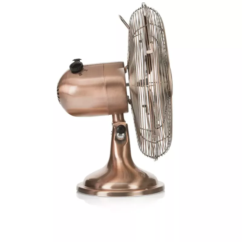 Stalinis ventiliatorius Tristar VE-5970 Retro varinės spalvos 30 cm