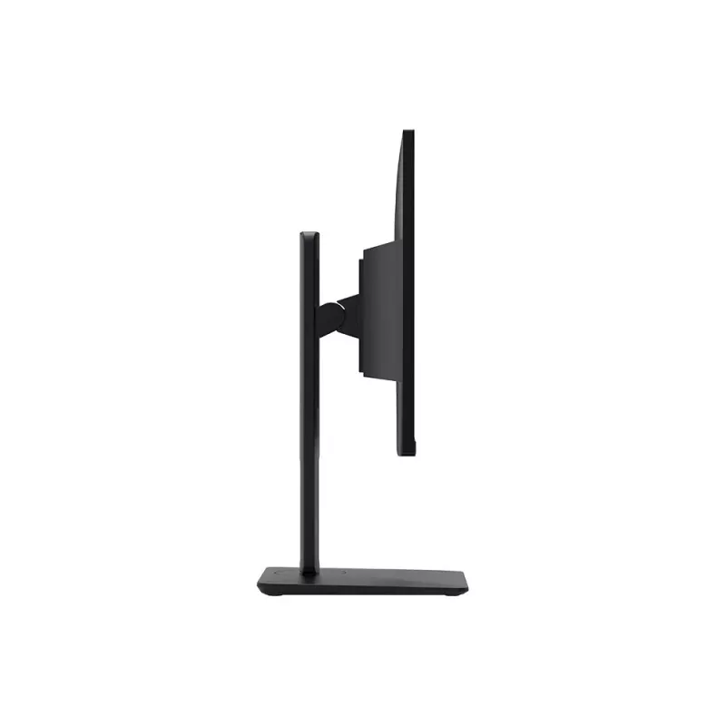 MSI Pro MP245PG 24 colių IPS FHD HDMI/DP pasukamas - plokščias ekranas - 61 cm