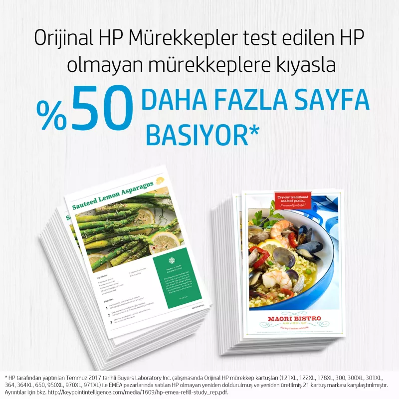 HP 300 rašalo kasetė spalvota Vivera 4ml