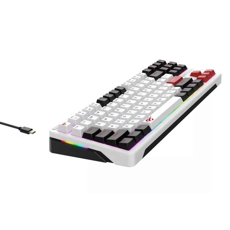 Havit KB902L žaidimų klaviatūra 80% laidinė USB QWERTY 88 klavišai RGB LED