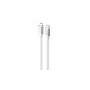 Havit CB6290 USB Type C į USB Type C laidas 1 m 10 Gbit/s Pilka Balta