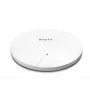 DrayTek Vigor AP1062C WLAN-AX MESH Outdoor AP PoE (be NT) (vAP1062c-DE-AT-CH)