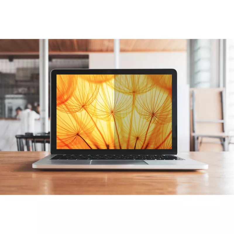 3M privatumo filtras nešiojamam kompiuteriui - ryškus ekranas - lipnus - 34,2 cm (13.5) - skirtas Microsoft Surface Laptop (13.5 ), Laptop 2 (13.5 ) (7100287810)