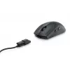 Optinė USB belaidė pelė AW720M/545-BBDN Dell