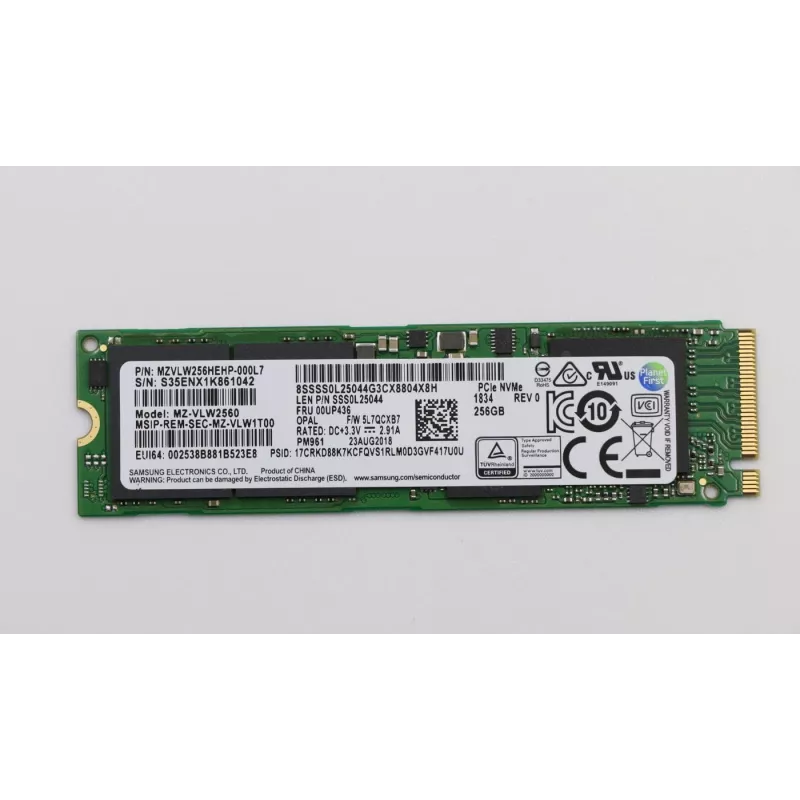 Lenovo atminties SSD 256GB M.2 PCIe3x4 (FRU00UP436)