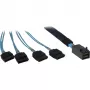 Kabelis INTER-TECH SFF-8643 į 4x SATA/SAS 0,7 m 12 Gbit/s mėlynas