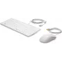 HP USB klaviatūros ir pelės rinkinys Healthcare Edition pilno dydžio laidinis baltas