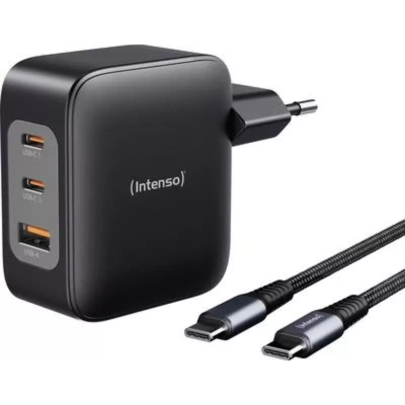 Intenso W100ACC+C520C juodas USB-C® adapteris 100 W USB-A, USB-C® juodas (7810010)