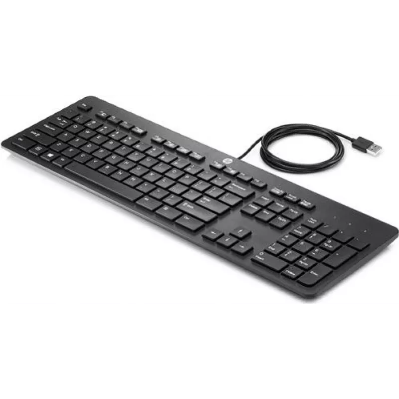 HP USB Business plonas klaviatūra, pilno dydžio, laidinė USB, juoda, N3R87AA#ABZ