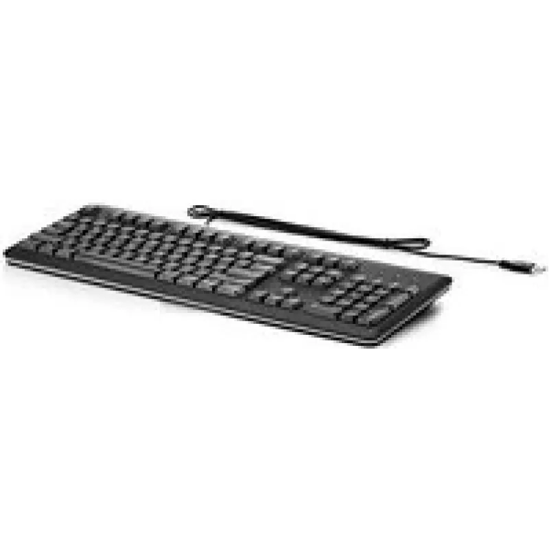 HPE Standard - klaviatūra - USB - šveicariška - sidabrinė, Carbonite - skirta MultiSeat t200, Compaq Business Desktop dc7700, Flexible Thin Client t510