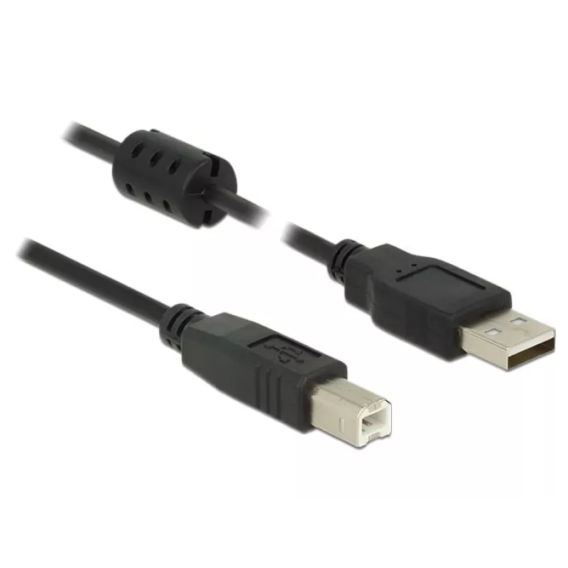 USB laidas DeLOCK 1m USB 2.0-A/USB 2.0-B