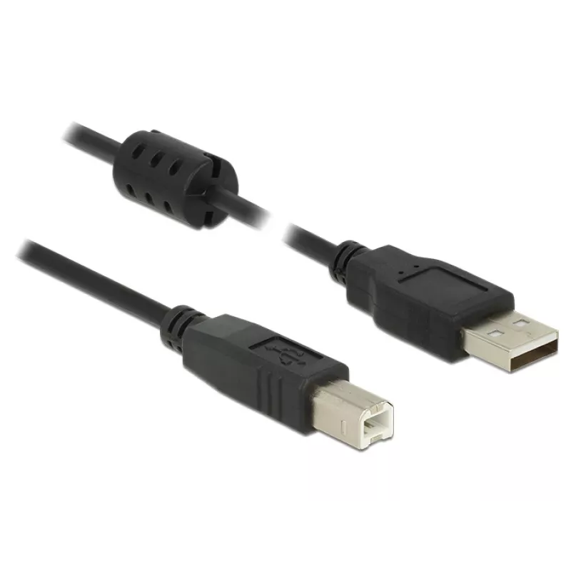 USB laidas DeLOCK 1m USB 2.0-A/USB 2.0-B