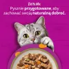 Šlapias kačių maistas Whiskas Tasty Mix šefo pasirinkimas padaže 40×85 g maišeliai