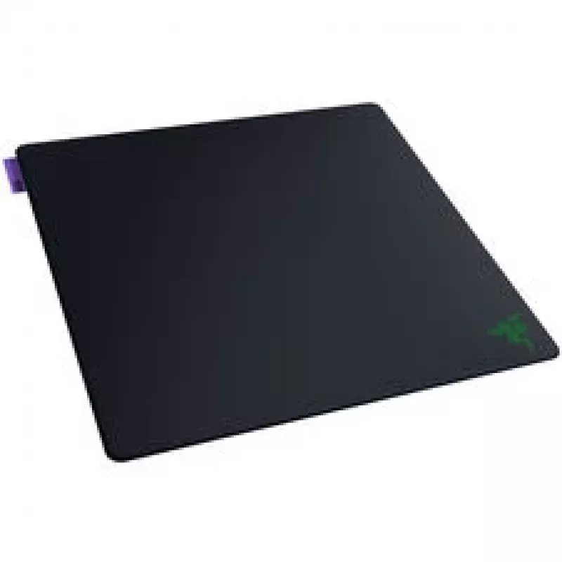 Razer Gigantus V2 Pro L - Max Control Gigantus V2 Pro L - Max Control (RZ02-05490100-R3M1)
