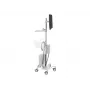 Ergotron 24-818-211 Ekranas