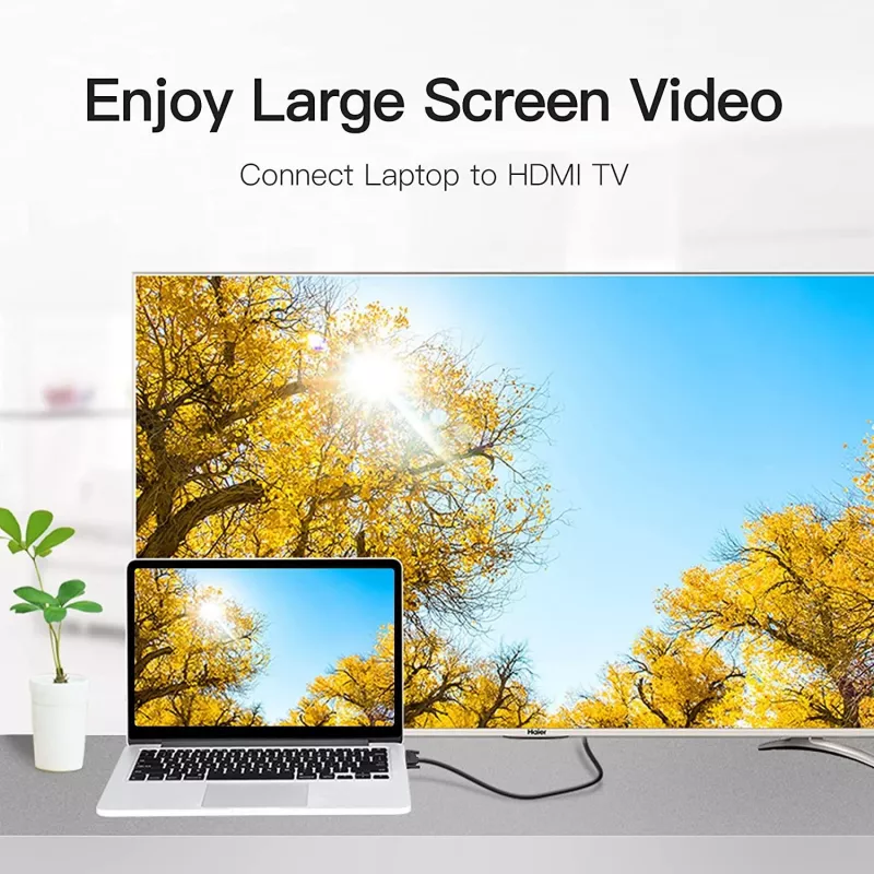 HDMI į DVI laidas 5M/JUODAS Abfbj Vention