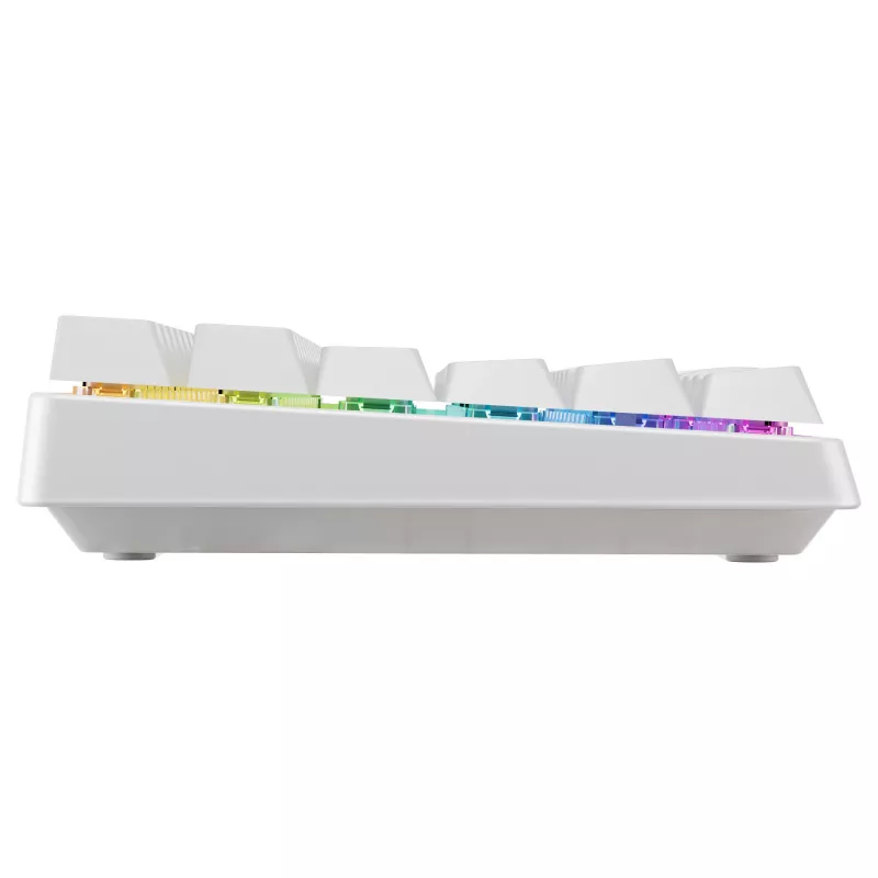Mechaninio stiliaus kompaktinė belaidė klaviatūra Cherry XTRFY K33 75% QWERTZ vokiečių balta USB + RF + Bluetooth RGB