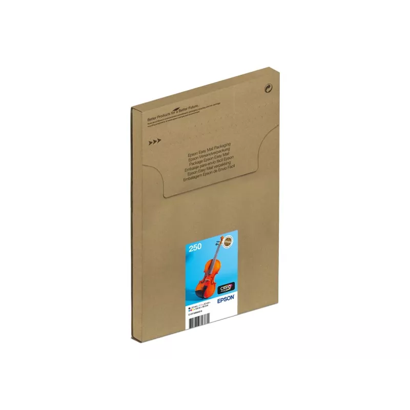 Rašalinių kasečių rinkinys Epson 250 EasyMail 6 vnt. Originalias – juoda, geltona, žalsvai mėlyna, purpurinė, šviesiai žalsvai mėlyna, šviesiai purpurinė (MPN C13T16N84510)