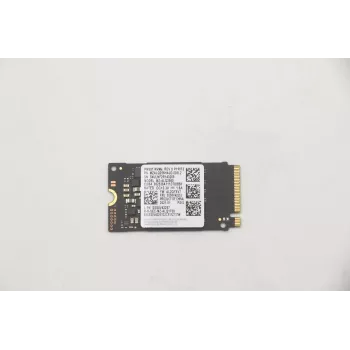 Lenovo 5SS0V42253 vidinis kietojo kūno diskas M.2 256 GB PCI Express (5SS0V42253)