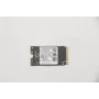Lenovo 5SS0V42253 vidinis kietojo kūno diskas M.2 256 GB PCI Express (5SS0V42253)
