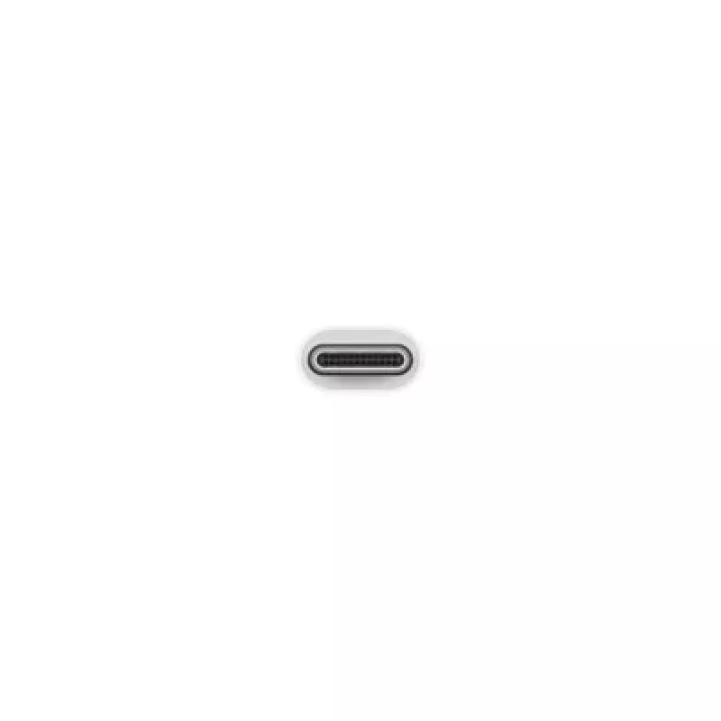 Apple USB-C į USB adapteris MJ1M2ZM/A USB A USB C | Turime | ITwork