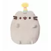Party Pusheen Small 14 cm