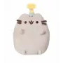 Party Pusheen Small 14 cm