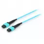 Equip Pro - Patch-Cable - MTP Multimode (W) - MTP Multimode (W) - 15,0m - Fibre Optic - 50/125 mikrometrų - OM4 - akvamarino (25555707)