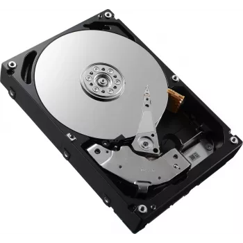DELL W125827144 vidinis standusis diskas 2.5 300 GB SAS (W125827144)