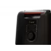 Bluetooth garsiakalbis FERGUSON REGENT Power Audio 400BT RGB 60W FM USB AUX DSP juodas