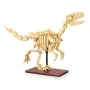 Statybinis rinkinys Jamara CaDA Dinozaurų fosilija Velociraptor — 256 dalys, amžius 8+, smėlinė/ruda