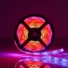 Išmanioji juostelė Nedis WIFILS51CRGB — Wi‑Fi, RGB, 24 W, 1 m laidas, 12 mm plotis