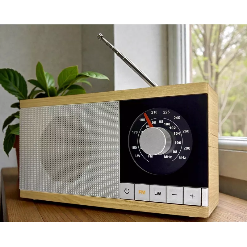 Radio Krystyna medinis korpusas