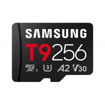 Atminties kortelė MB-MH256T/WW T9 microSD 256GB