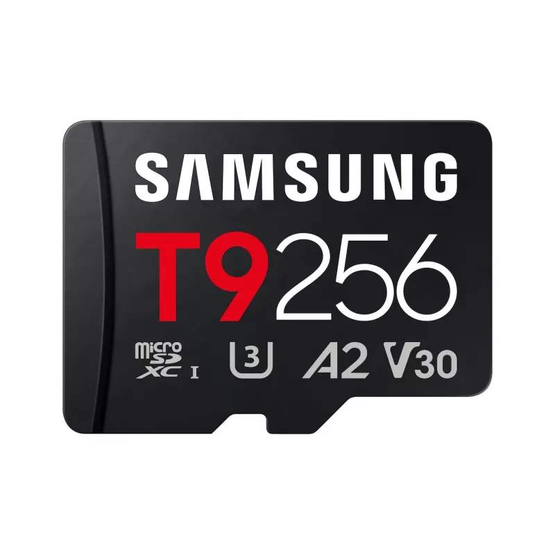 Atminties kortelė MB-MH256T/WW T9 microSD 256GB