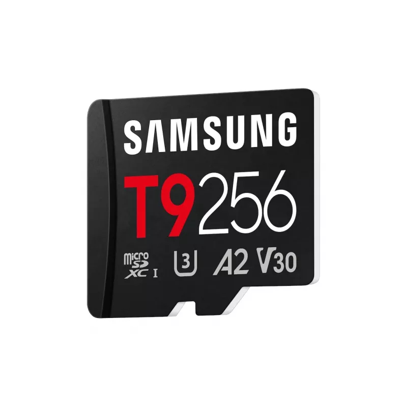 Atminties kortelė MB-MH256T/WW T9 microSD 256GB