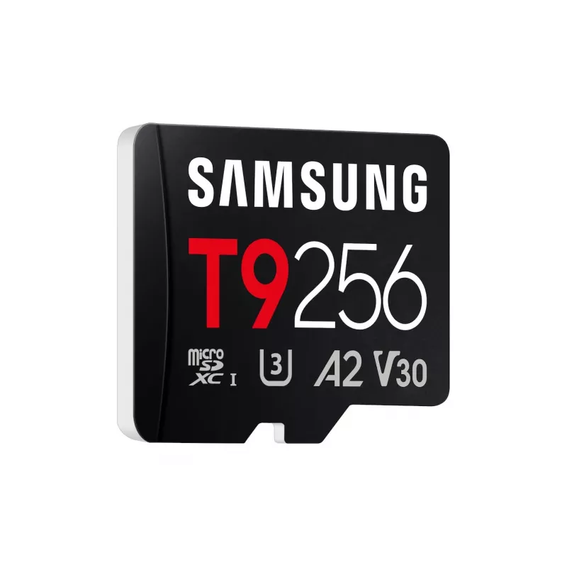 Atminties kortelė MB-MH256T/WW T9 microSD 256GB
