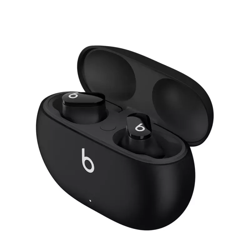 Ausinės Beats by Dr. Dre MJ4X3EE/A