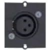 Bachmann - Modulinė priekinė panelė, įstatoma - 3 PIN XLR - Juoda