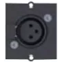 Bachmann - Modulinė priekinė panelė, įstatoma - 3 PIN XLR - Juoda