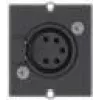 Bachmann Custom Module 1 x XLR lizdas - Modulinis Faceplate-Snap-In - XLR (5 kontaktų) - Juoda (917.101)