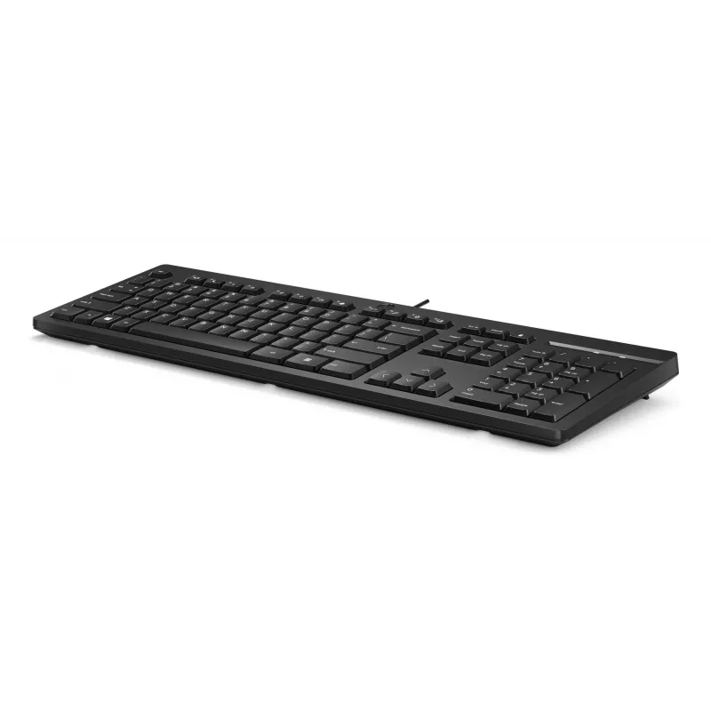 HP 125 laidinė klaviatūra, pilno dydžio USB, membraninė, juoda