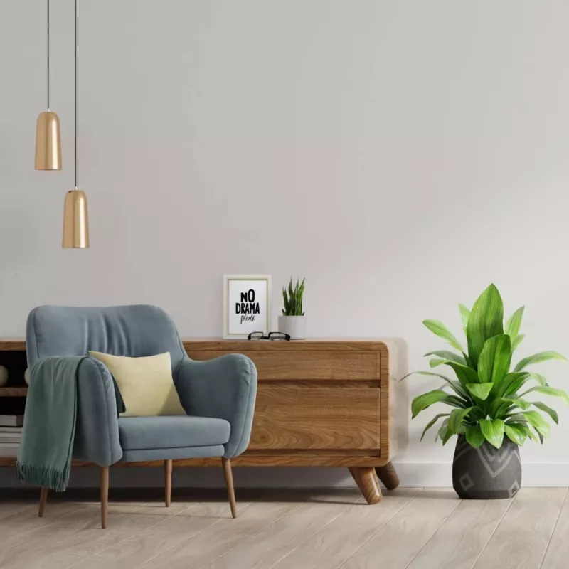 Vienetinis paveikslėlio rėmelis HAMA Aura — medis, balta, tinka 150 × 200 mm vaizdui (FSC)
