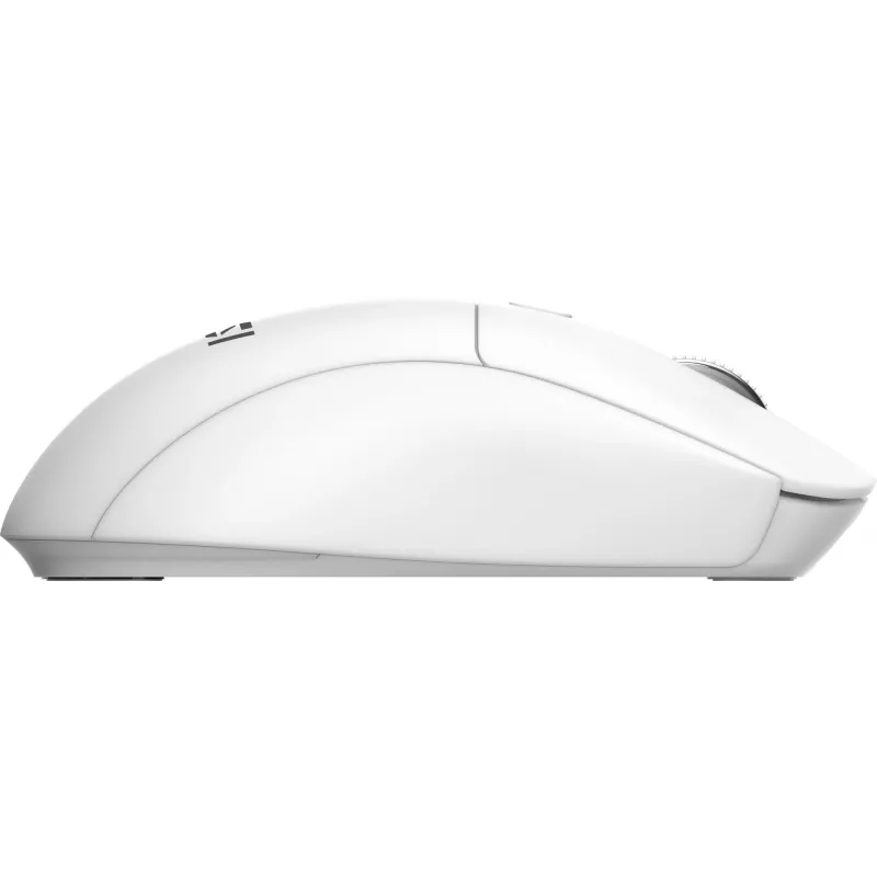 MSI FORGE K210 W COMBO WHITE US klaviatūra, pelė komplekte, Namams/ Biurui, USB, QWERTY, JAV anglų