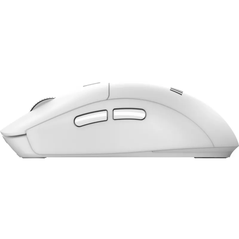 MSI FORGE K210 W COMBO WHITE US klaviatūra, pelė komplekte, Namams/ Biurui, USB, QWERTY, JAV anglų