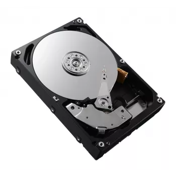 DELL 161-BCFV vidinis kietasis diskas 2,4 TB 10000 RPM 2,5 col. SAS