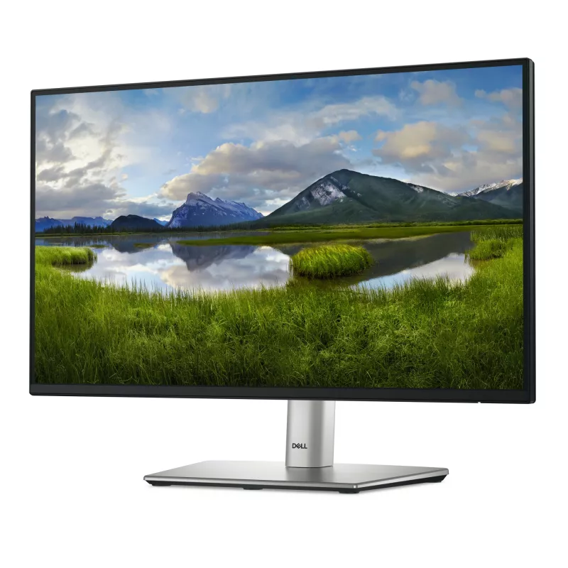 DELL P Series P2225H kompiuterio monitorius 54.6 cm (21.5 col.) 1920 x 1080 pikselių Full HD LCD juoda, sidabrinė