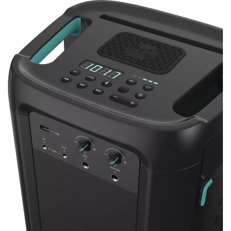 Nešiojama kolonėlė Hisense HP110 juoda