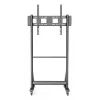 Techly ICA-TR7412 TV laikiklis/stovas 2,54 m (100 colių) juodas